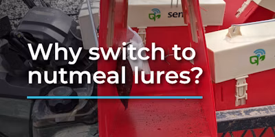 We're switching to nutmeal lures for navel orangeworm traps. Here's why.