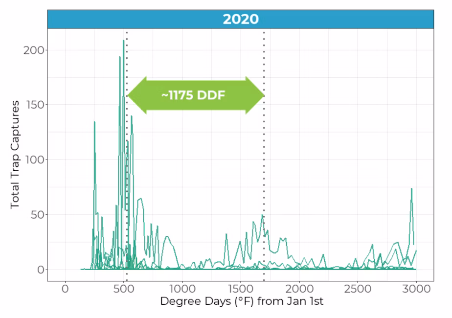 OFM Generation Length