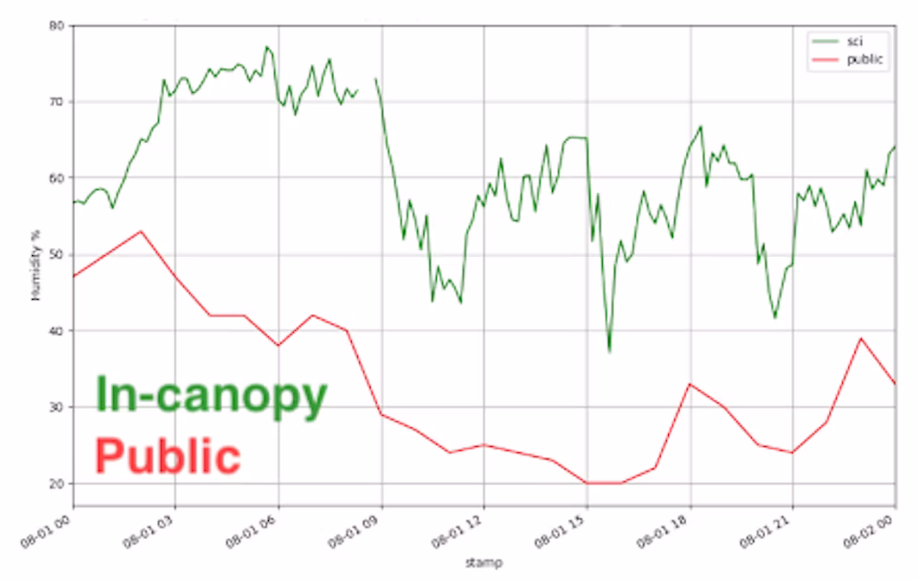 on site vs public WA1