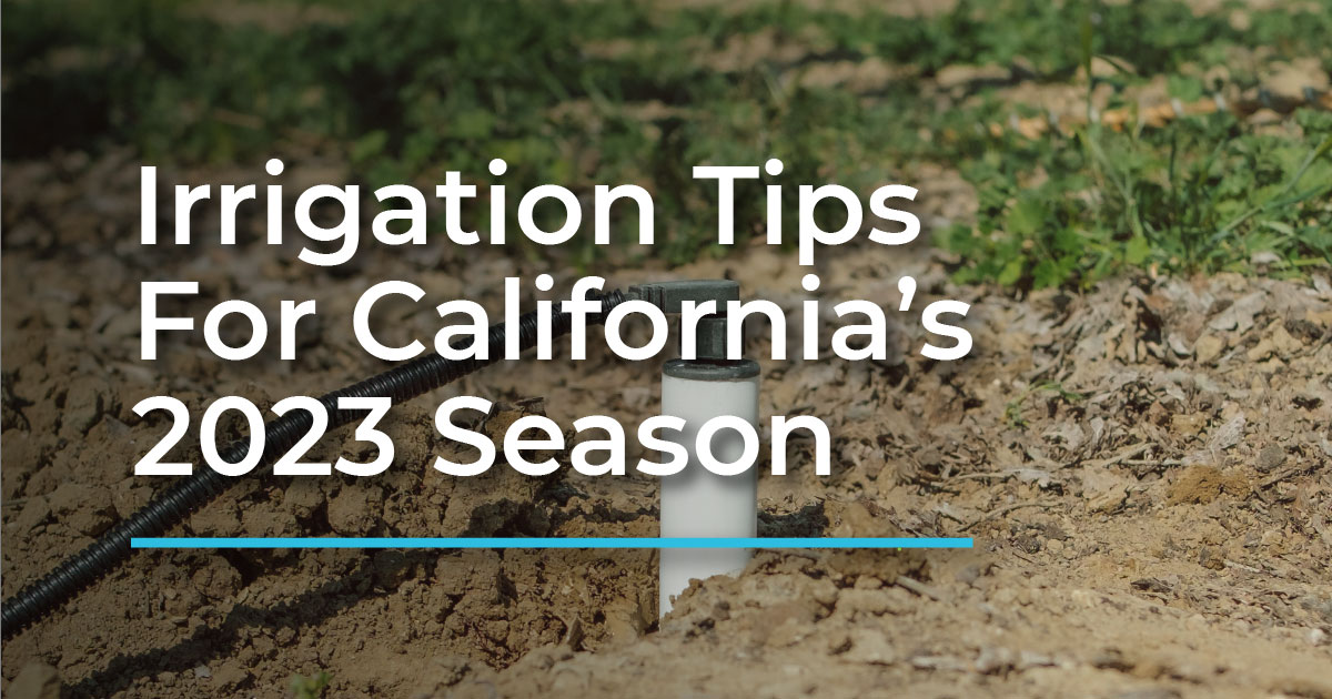 Planning Crop Irrigation After A Wet Spring