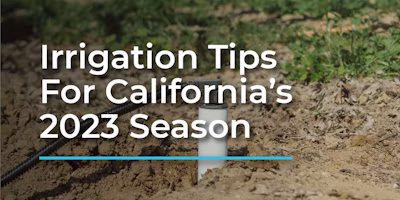 Planning Crop Irrigation After A Wet Spring