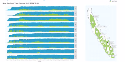 2024 California Navel Orangeworm Year-End Report