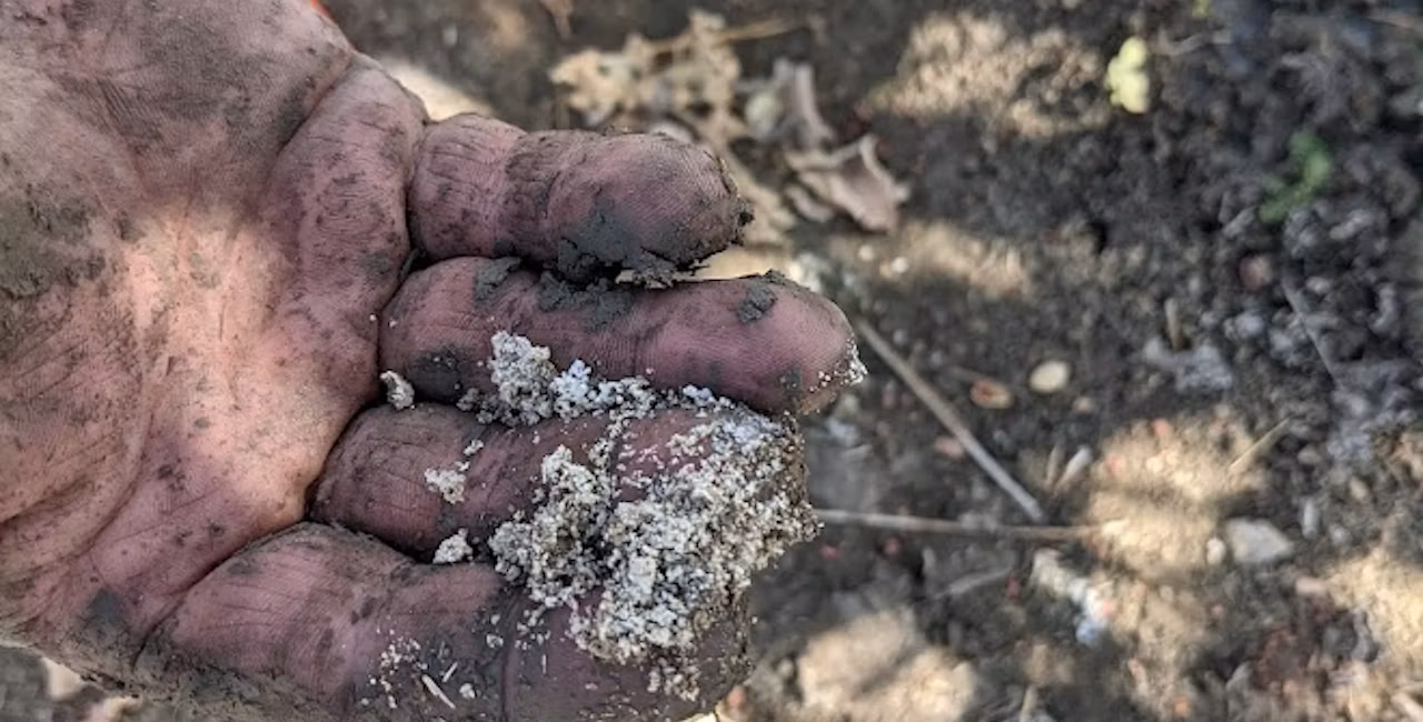 Salts in the Soil