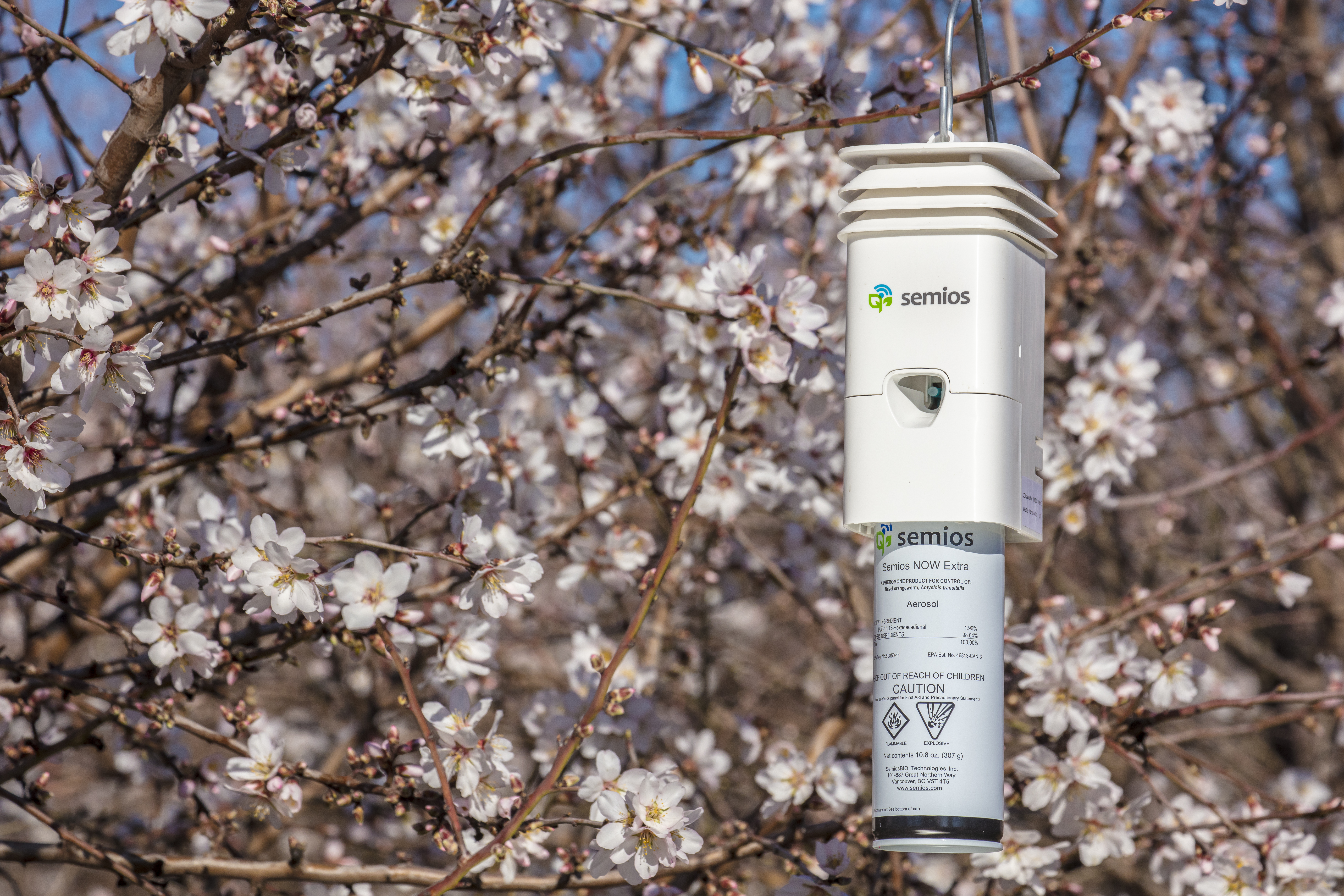 4 Benefits of In-Canopy Weather Stations in California