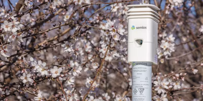 4 Benefits of In-Canopy Weather Stations in California