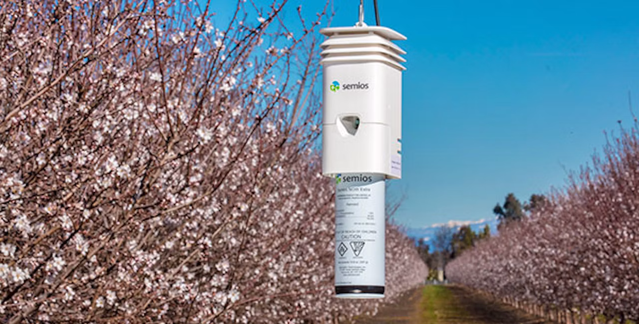 Semios-pheromone-orchard-bloom