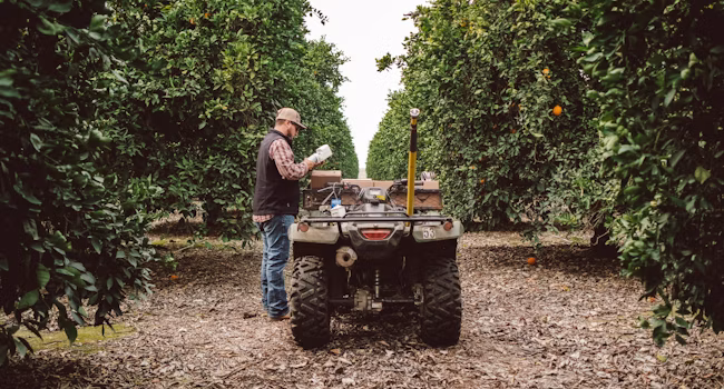 Semios field services team member in the field