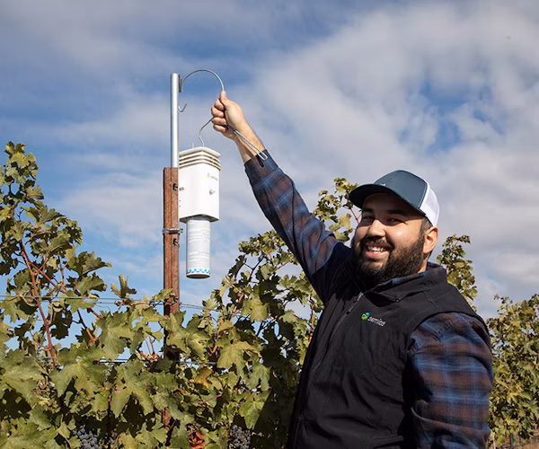 Semios field service tech installing the system