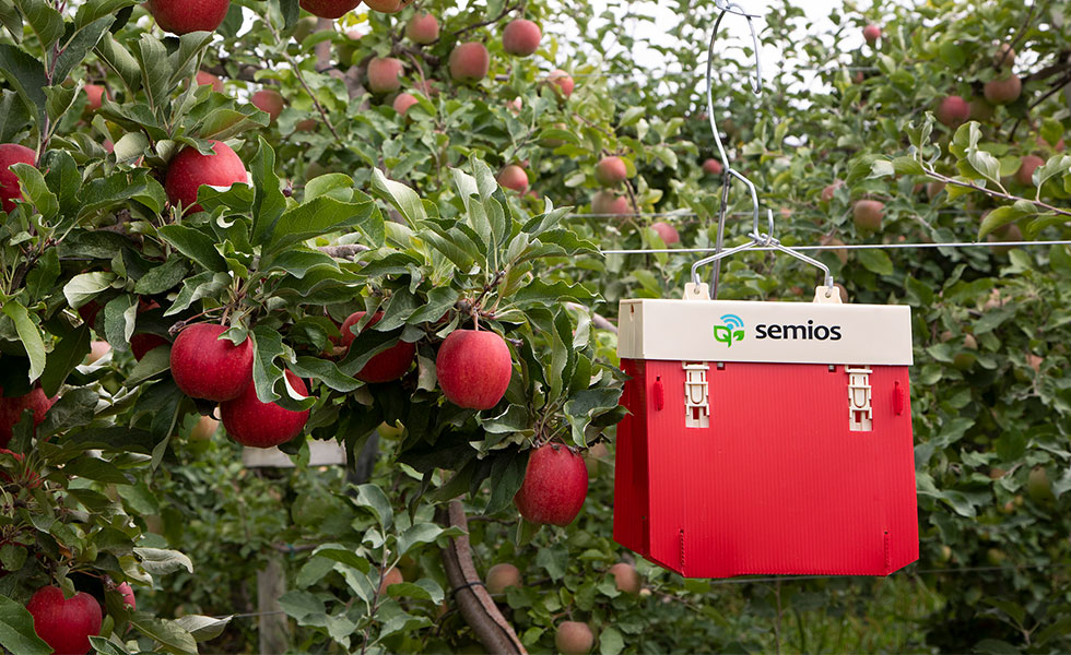 A Semios camera trap