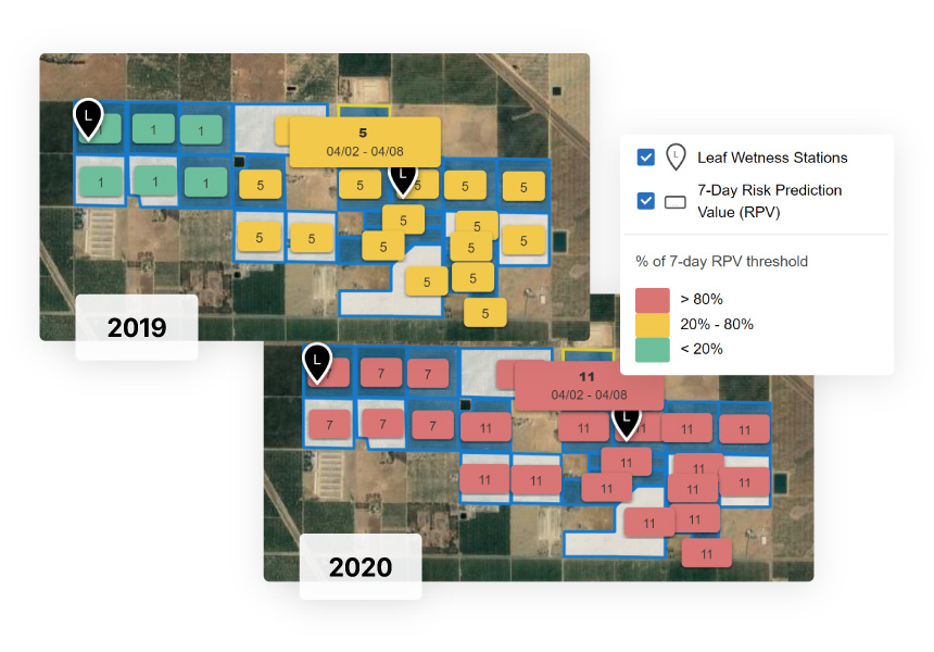 Comparison of predicted risk levels for walnut blight across two seasons, highlighting blocks that tend to be more susceptible to disease risk