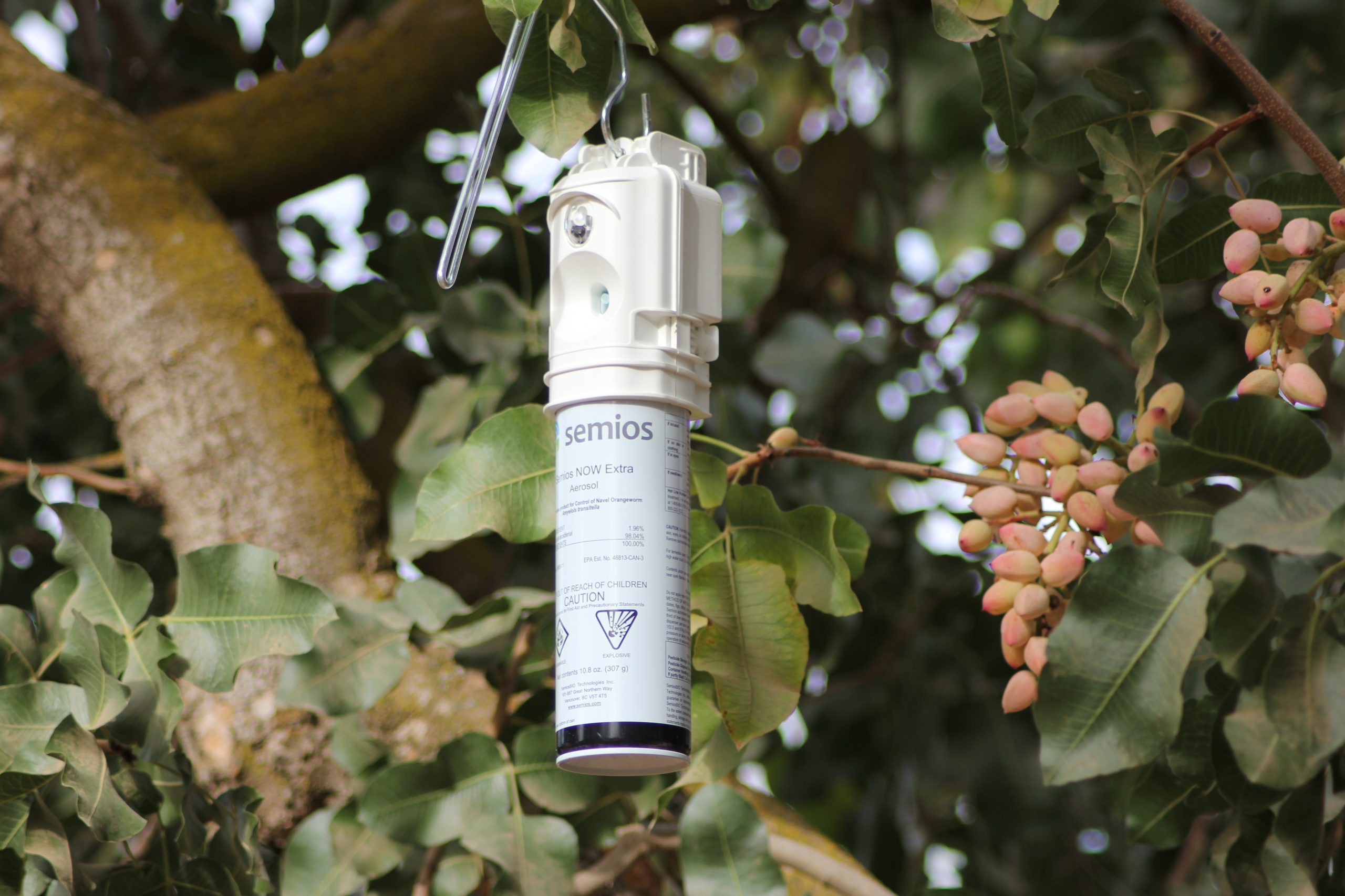 Semios mating disruption emitter hanging on a pistachio tree branch