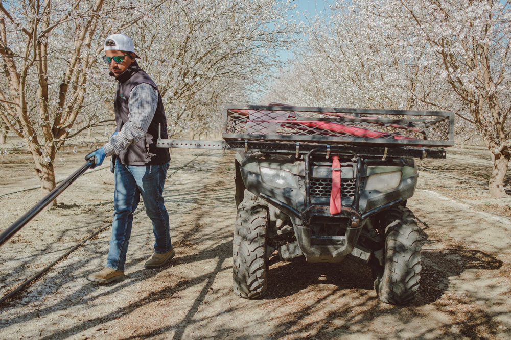 Semios Field Services team member in an almond orchard