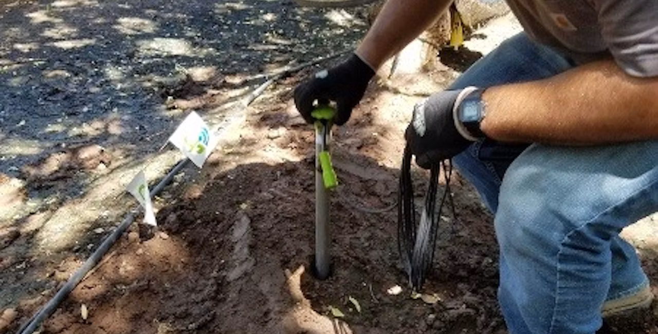 Member of the Semios field services team installing a soil moisture probe in an orchard