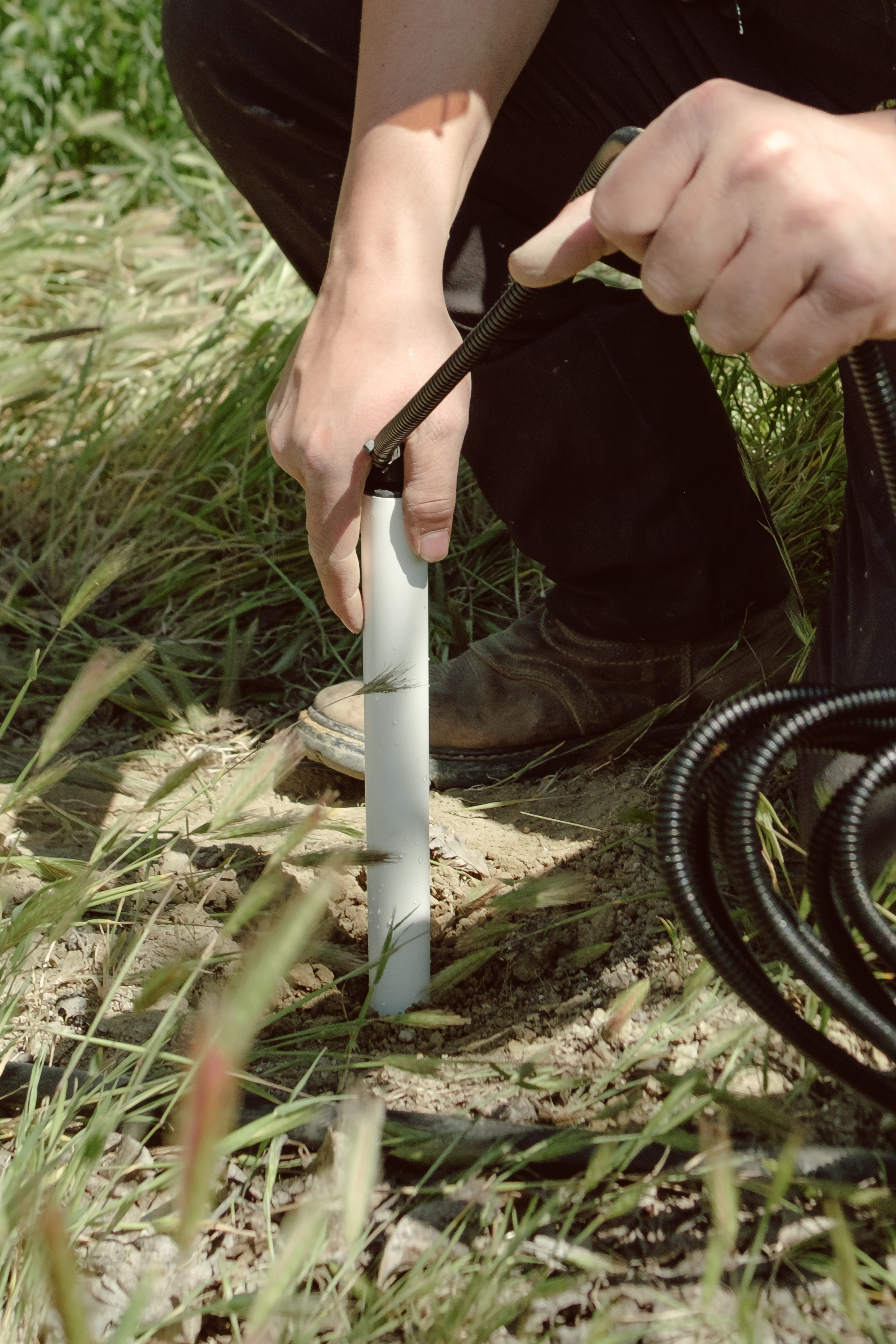 A hand installing a soil moisture probe