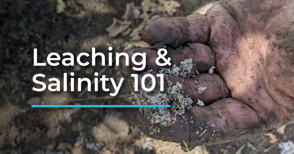 Understanding Leaching and Soil Salinity