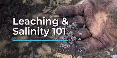 Understanding Leaching and Soil Salinity