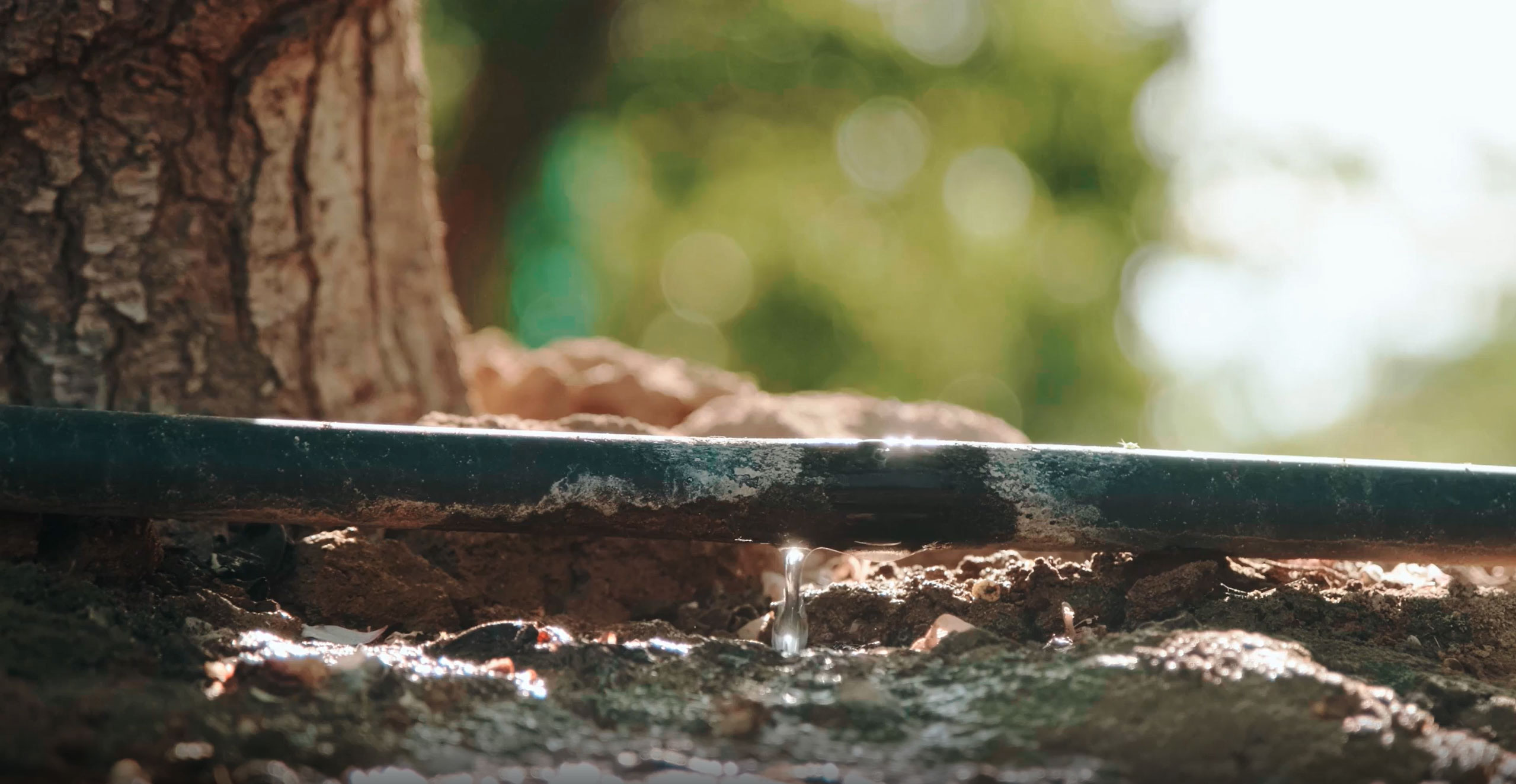 How Semios' Infiltration Map Simplifies Soil Moisture Monitoring