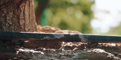 How Semios' Infiltration Map Simplifies Soil Moisture Monitoring