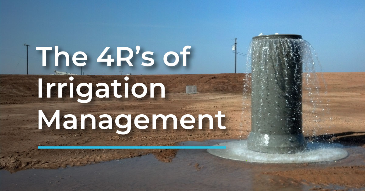What are the 4R's of Irrigation Management?