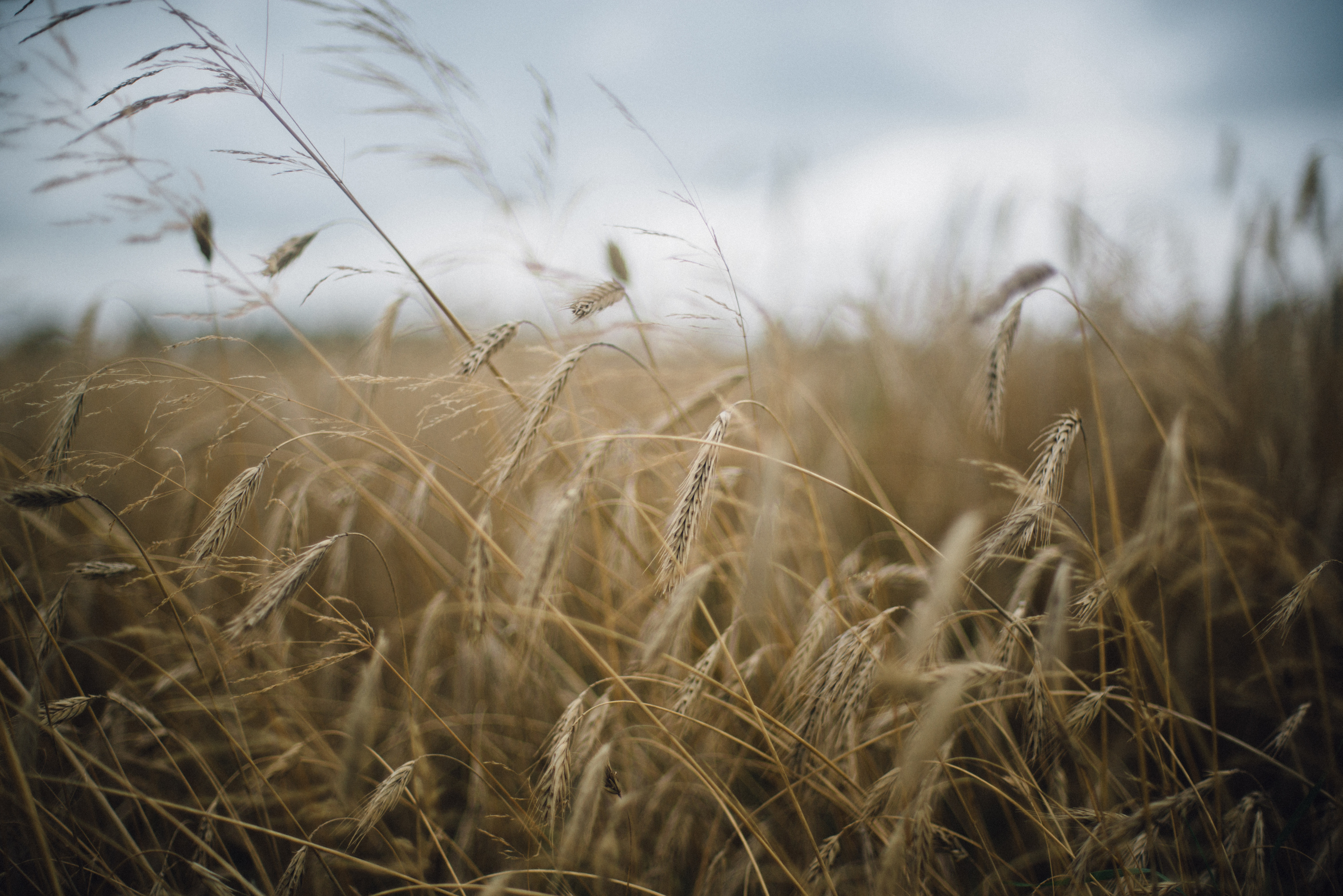 Agworld and PestFax collaboration