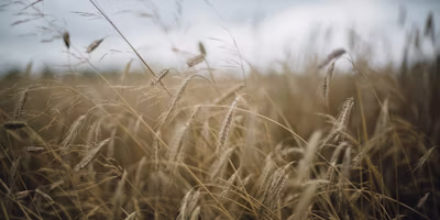 Agworld and PestFax collaboration