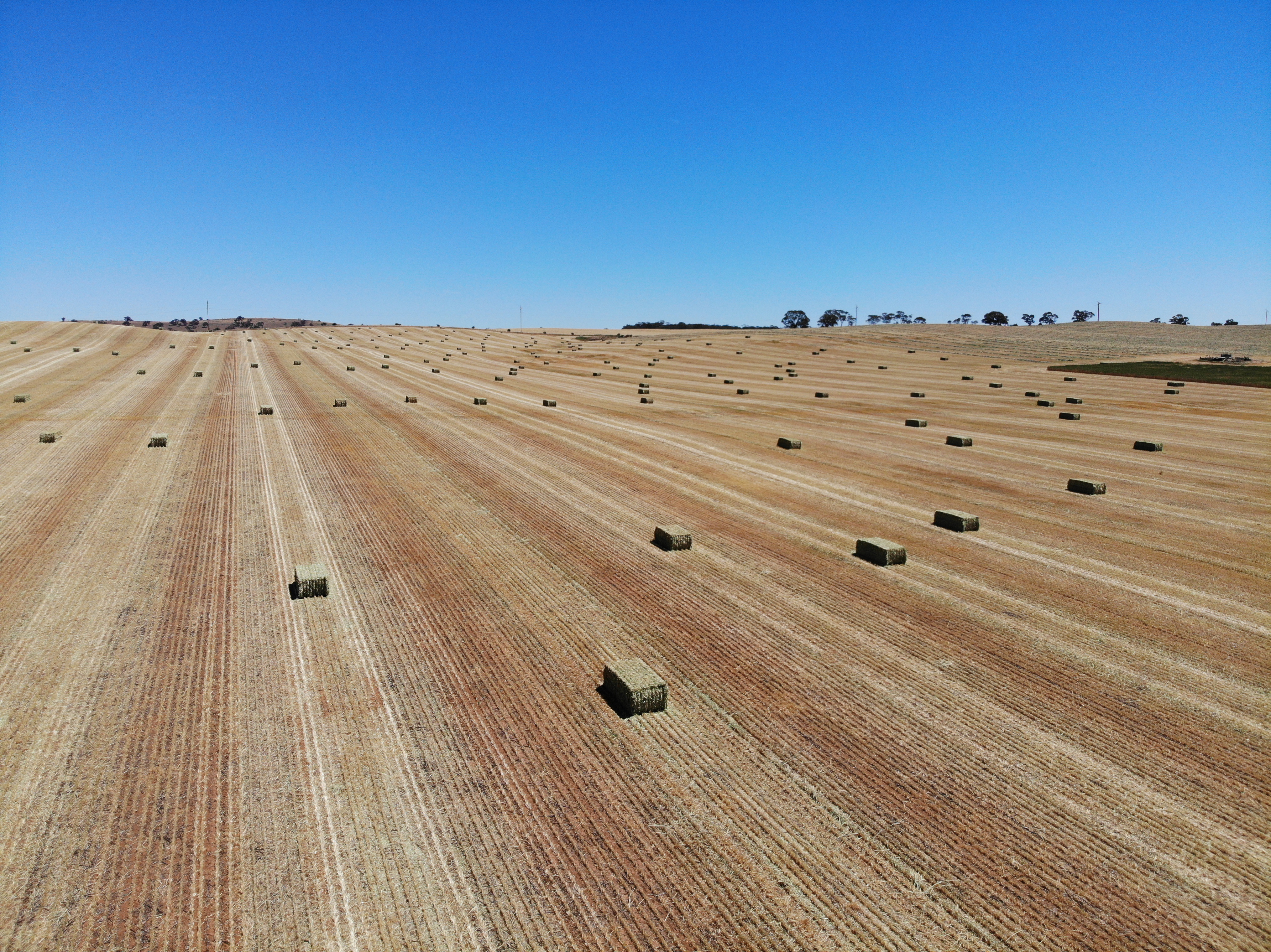Agworld