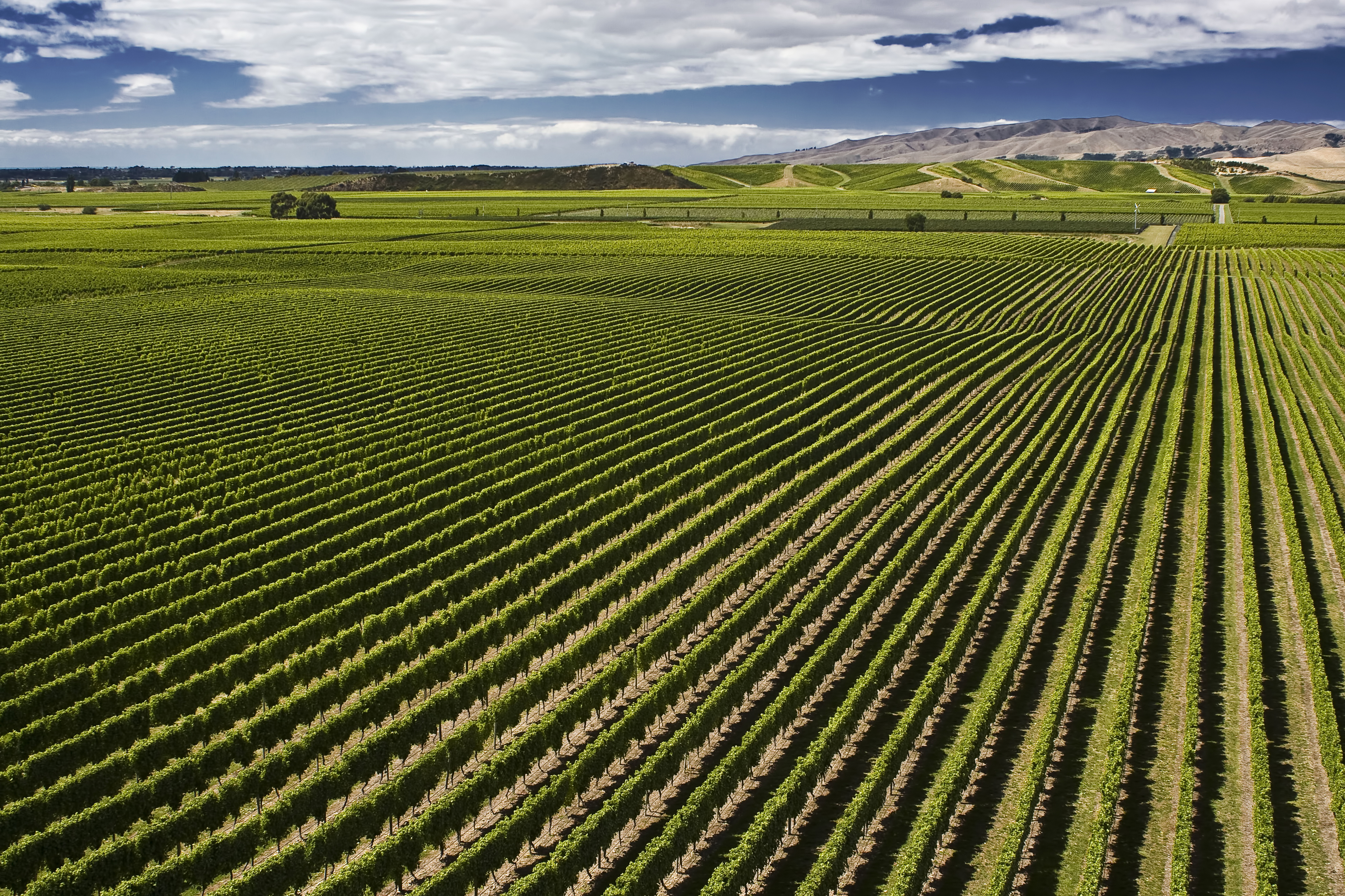 Detailed Record Keeping Key in Precision Farming and Finance