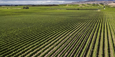 Detailed Record Keeping Key in Precision Farming and Finance