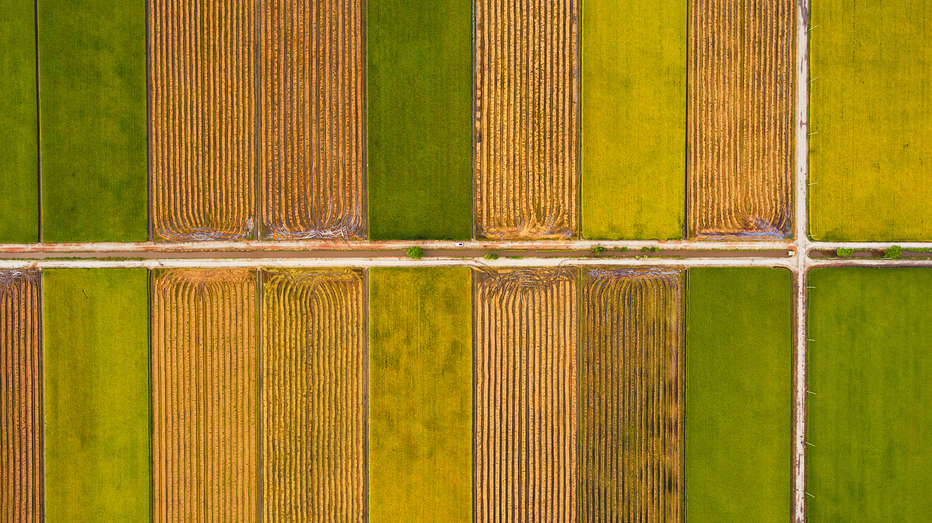 Are You Ready for This Year's Digital Harvest?