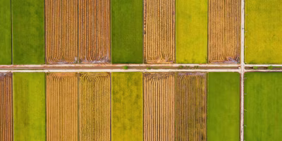 Are You Ready for This Year's Digital Harvest?