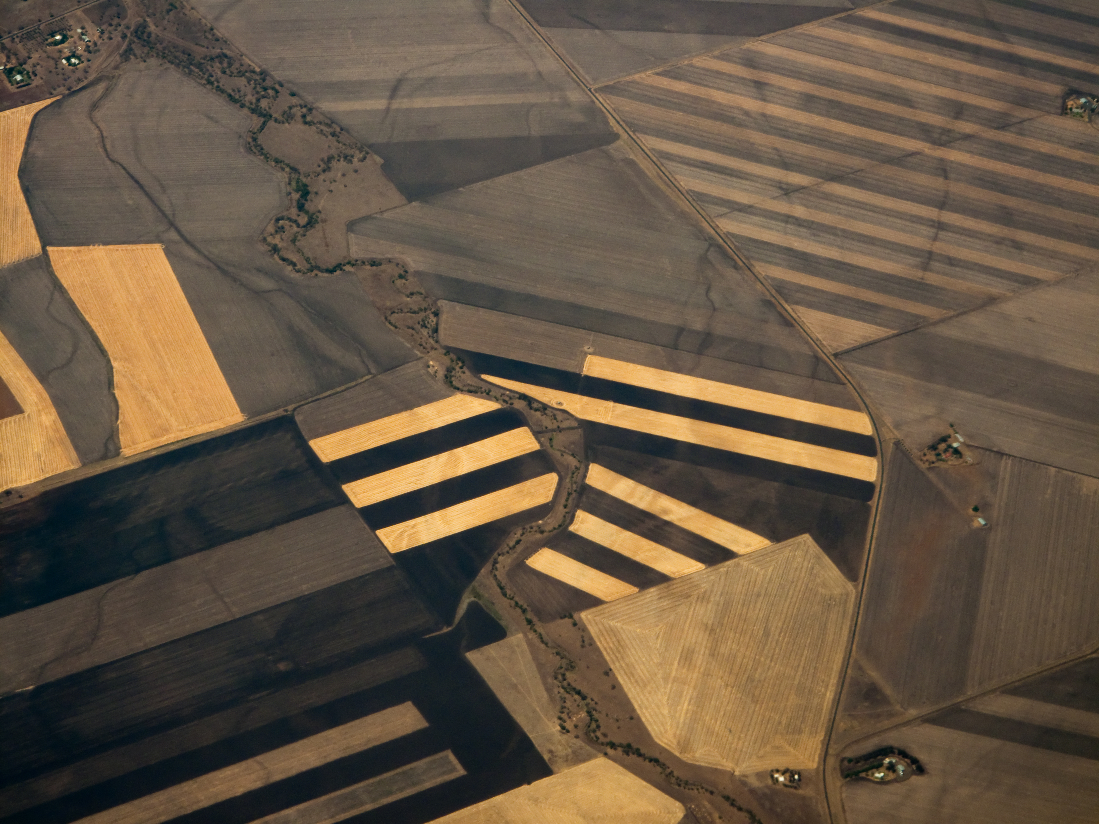 Agworld features in 2019 Thrive Top 50