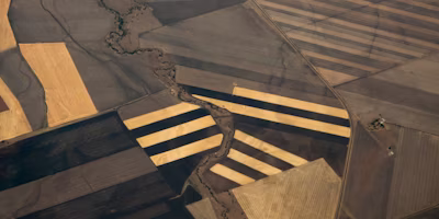 Agworld features in 2019 Thrive Top 50