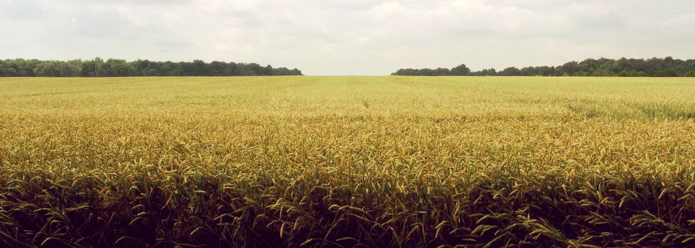 Agworld
