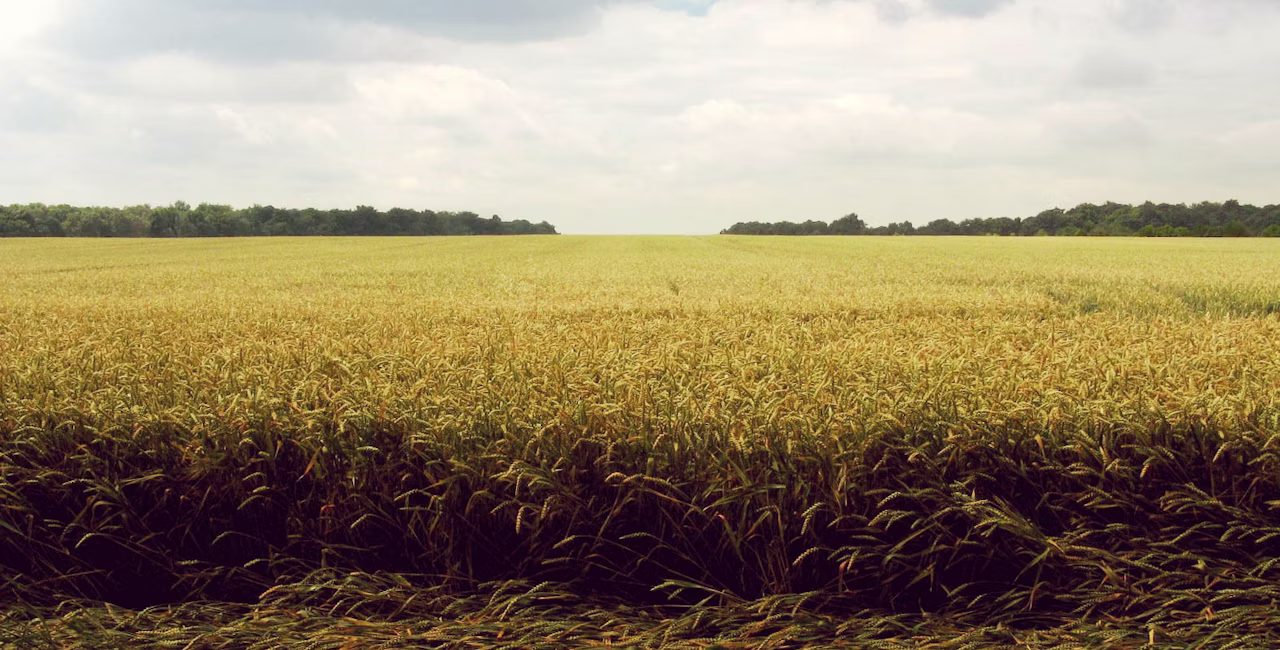 Agworld