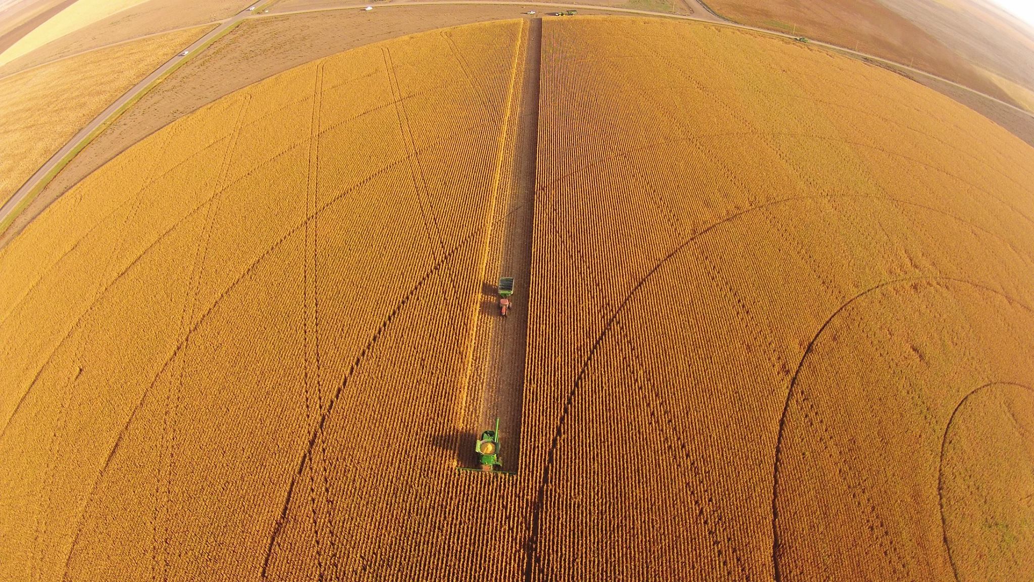 Fertilizing corn: using data to achieve savings