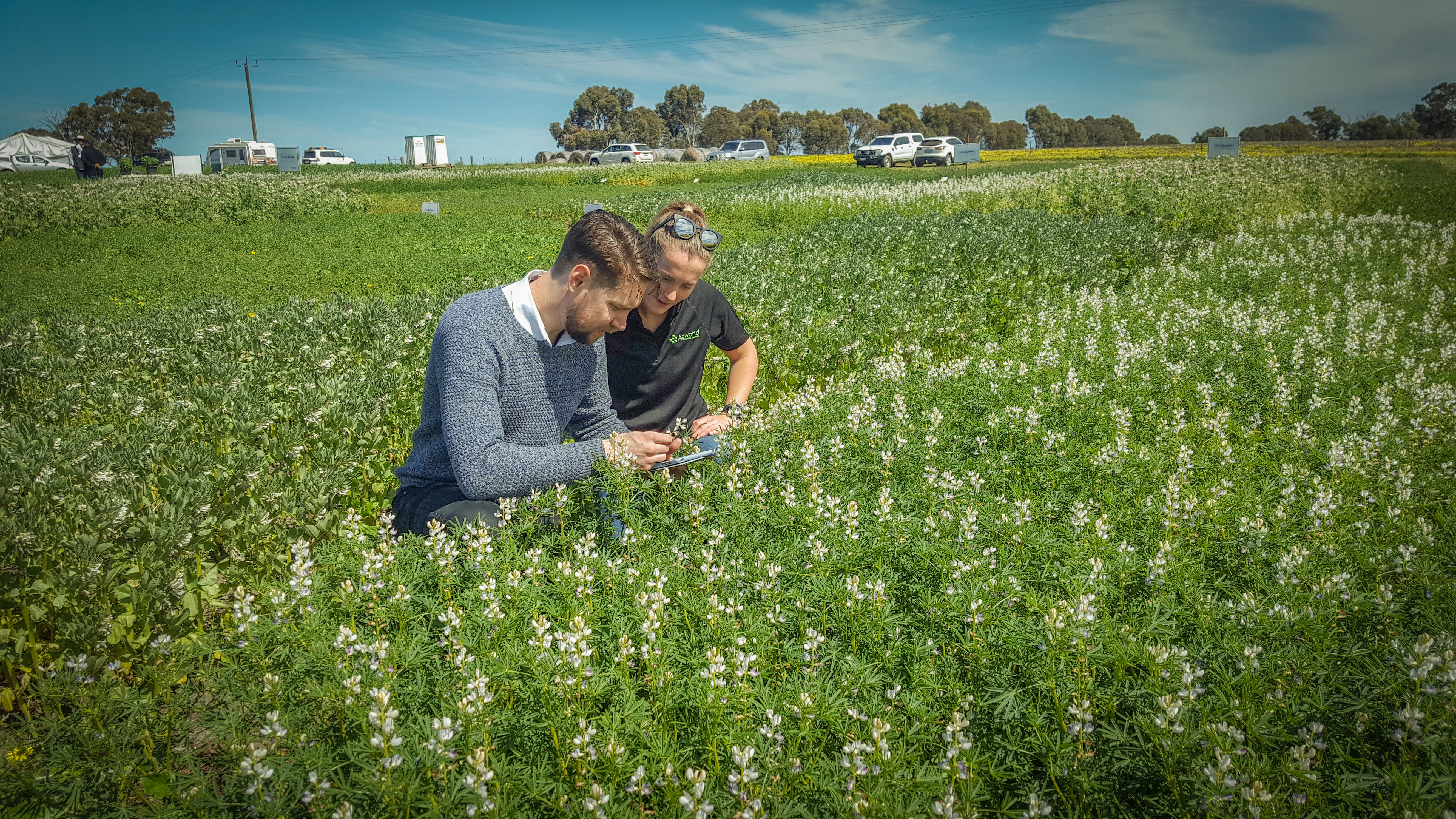 What are the barriers to adoption of digital agriculture?