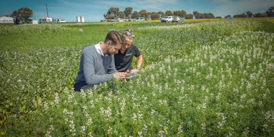 What are the barriers to adoption of digital agriculture?