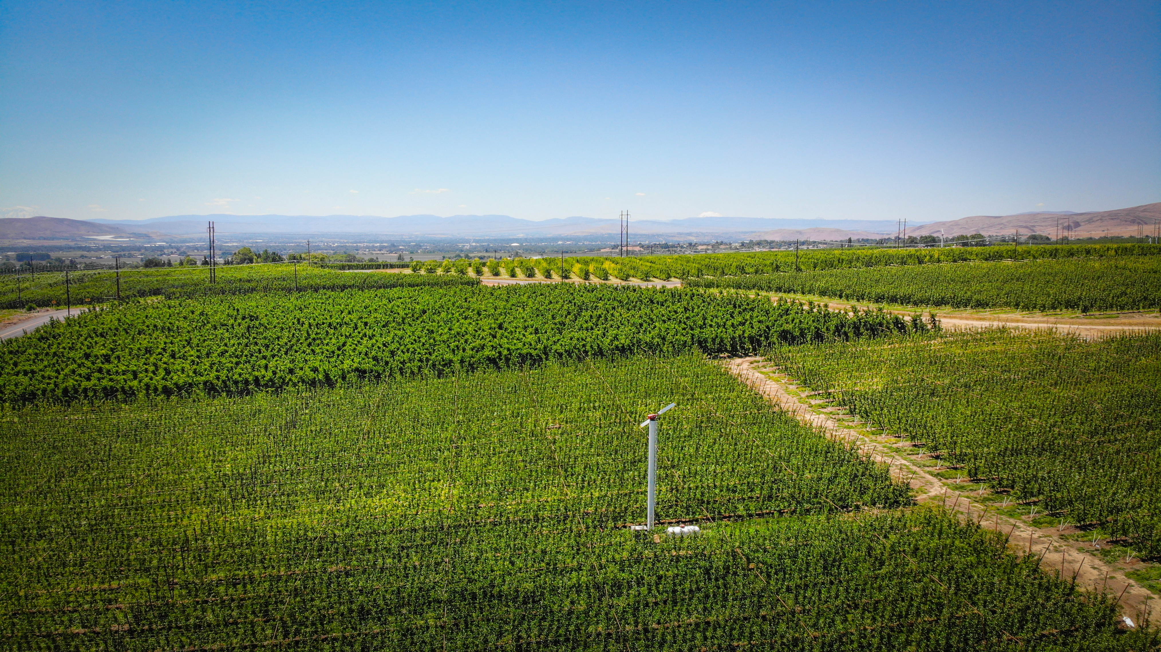 A wind machine installed in an orchard