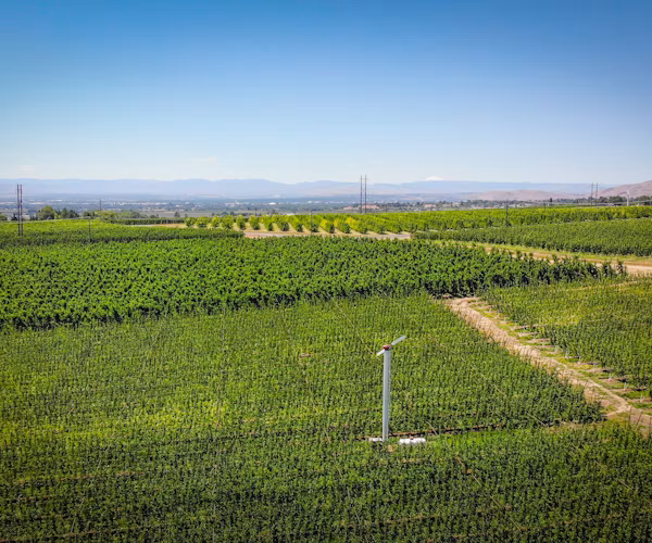 A wind machine installed in an orchard