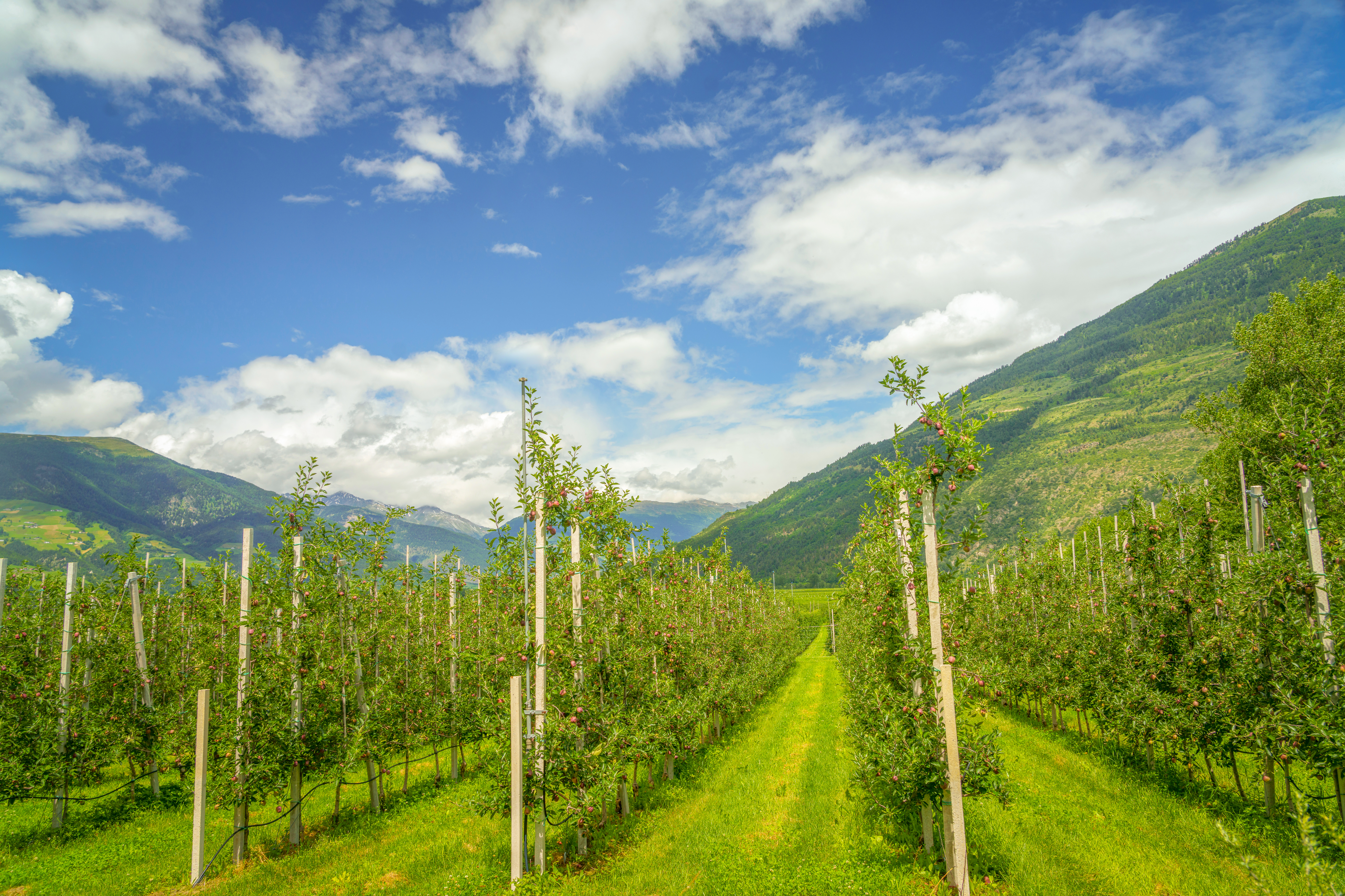 Semios Raises $100 Million in Capital to Expand Agtech Platform Globally