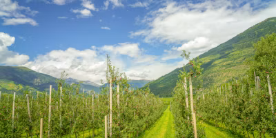 Semios Raises $100 Million in Capital to Expand Agtech Platform Globally