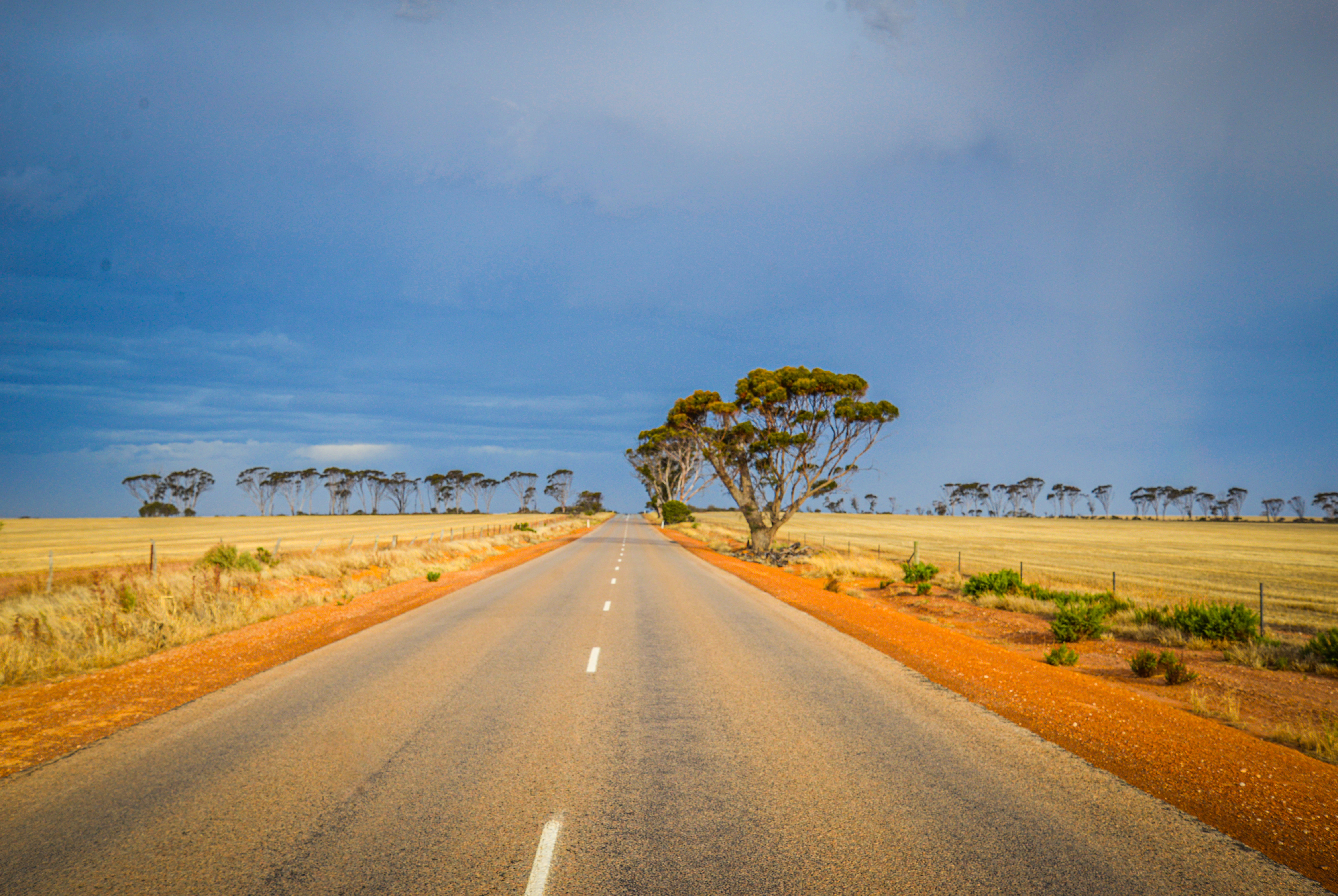 Monetizing a new Agricultural Commodity: where to start with Carbon Credits?