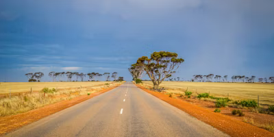 Monetizing a new Agricultural Commodity: where to start with Carbon Credits?