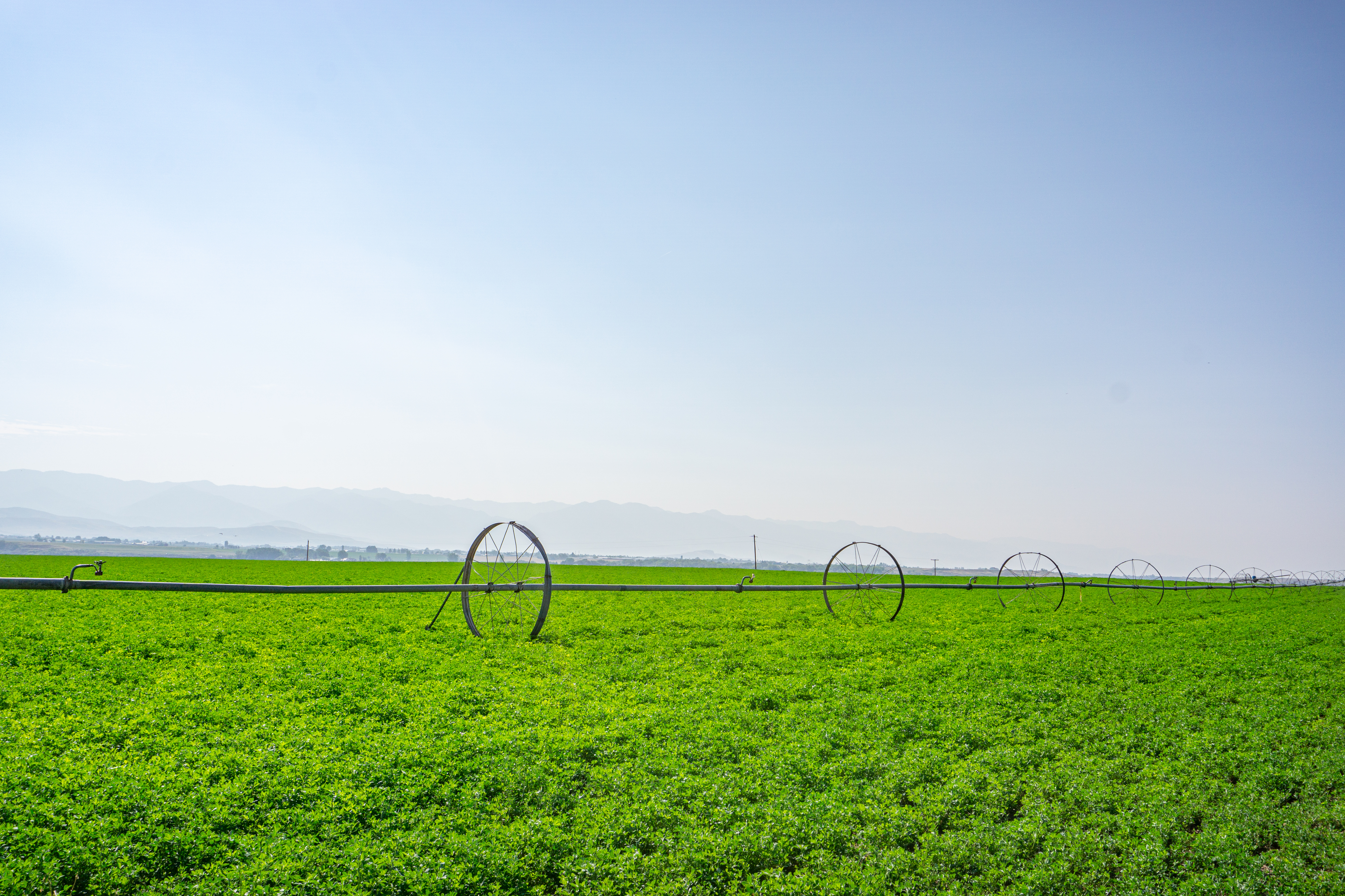 Agworld