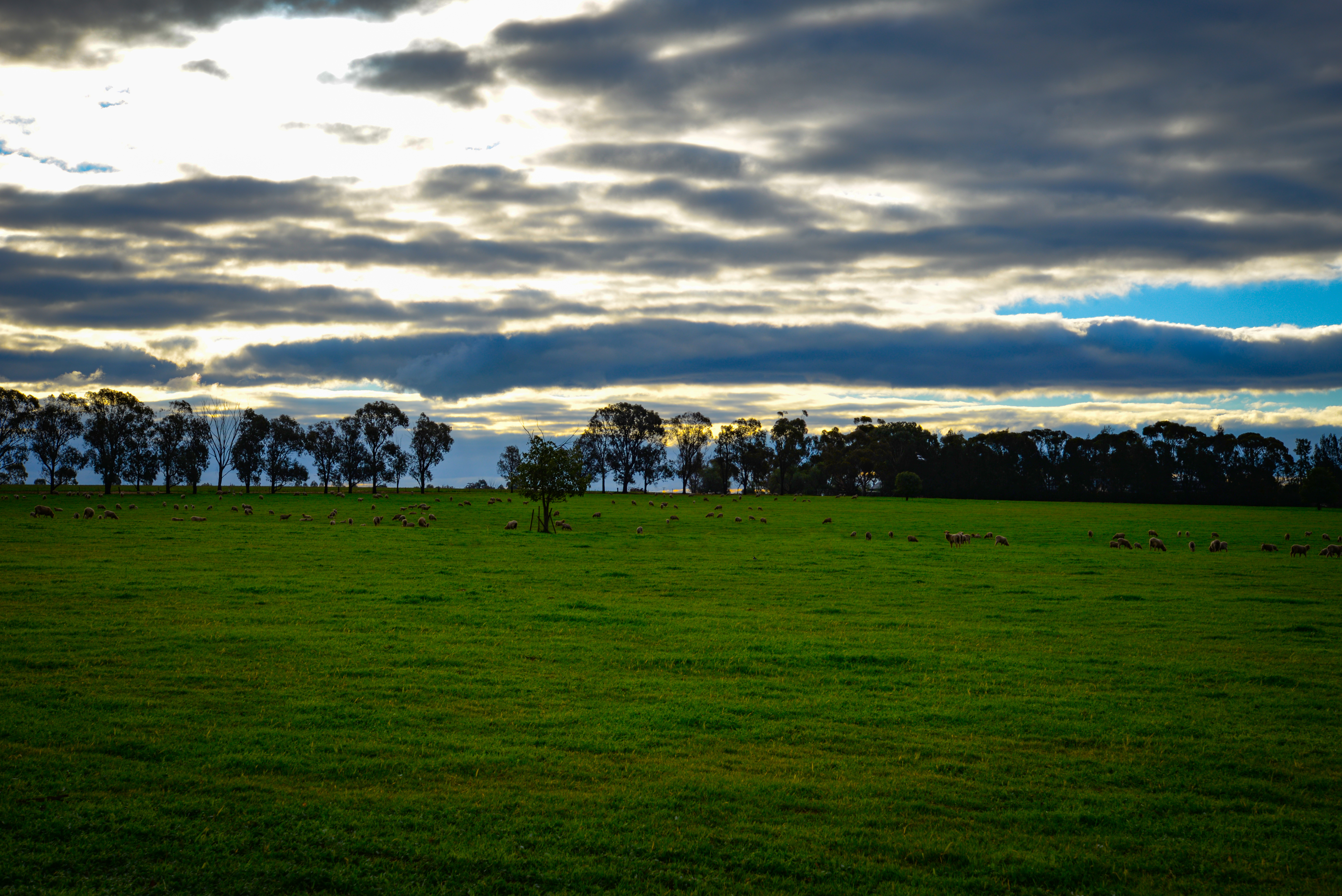 Agworld
