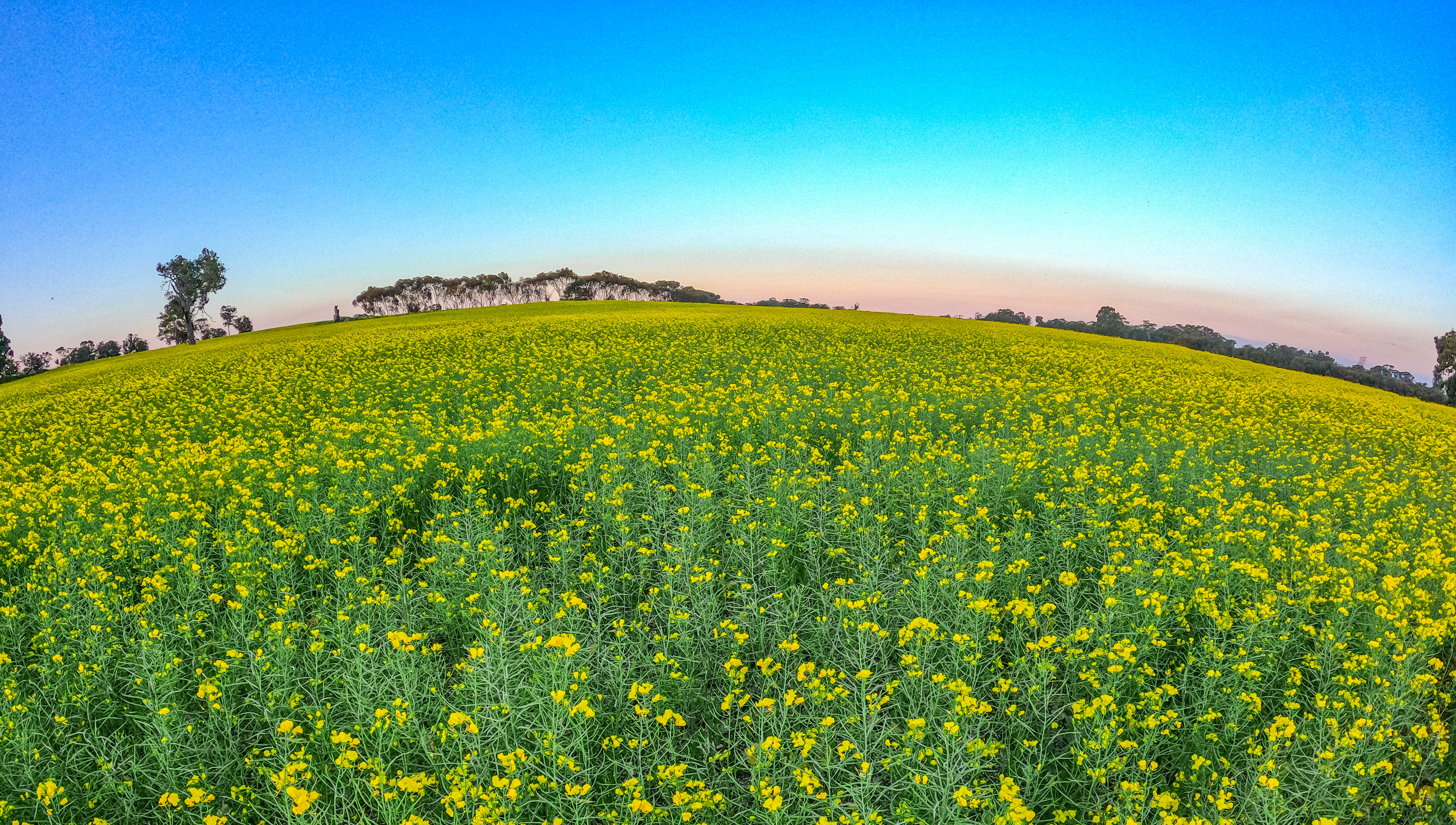 Agworld