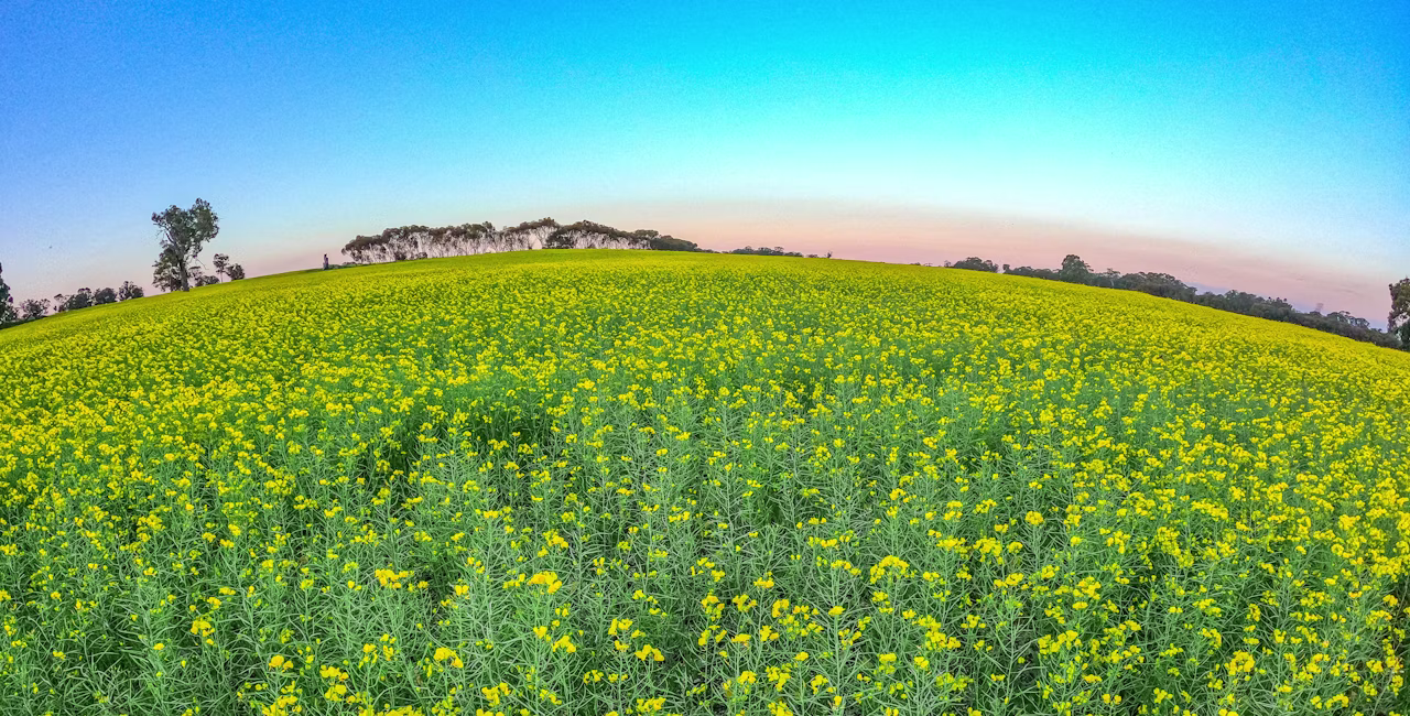 Agworld