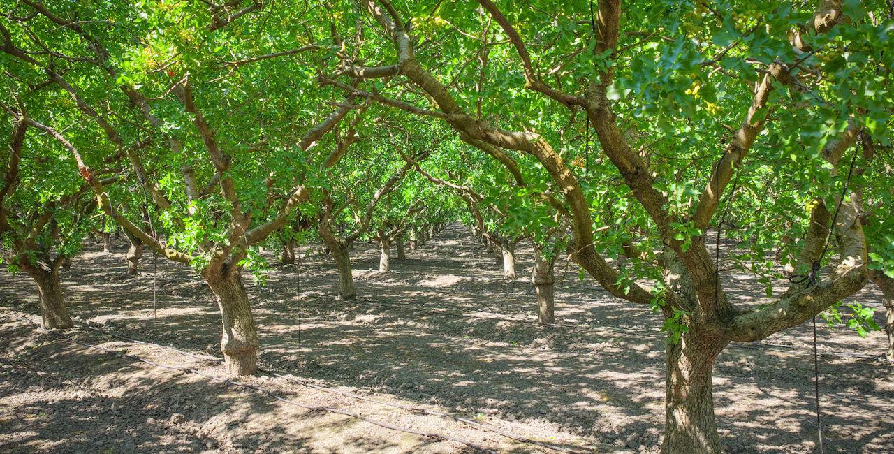 The next chapter of digital agriculture will be connected