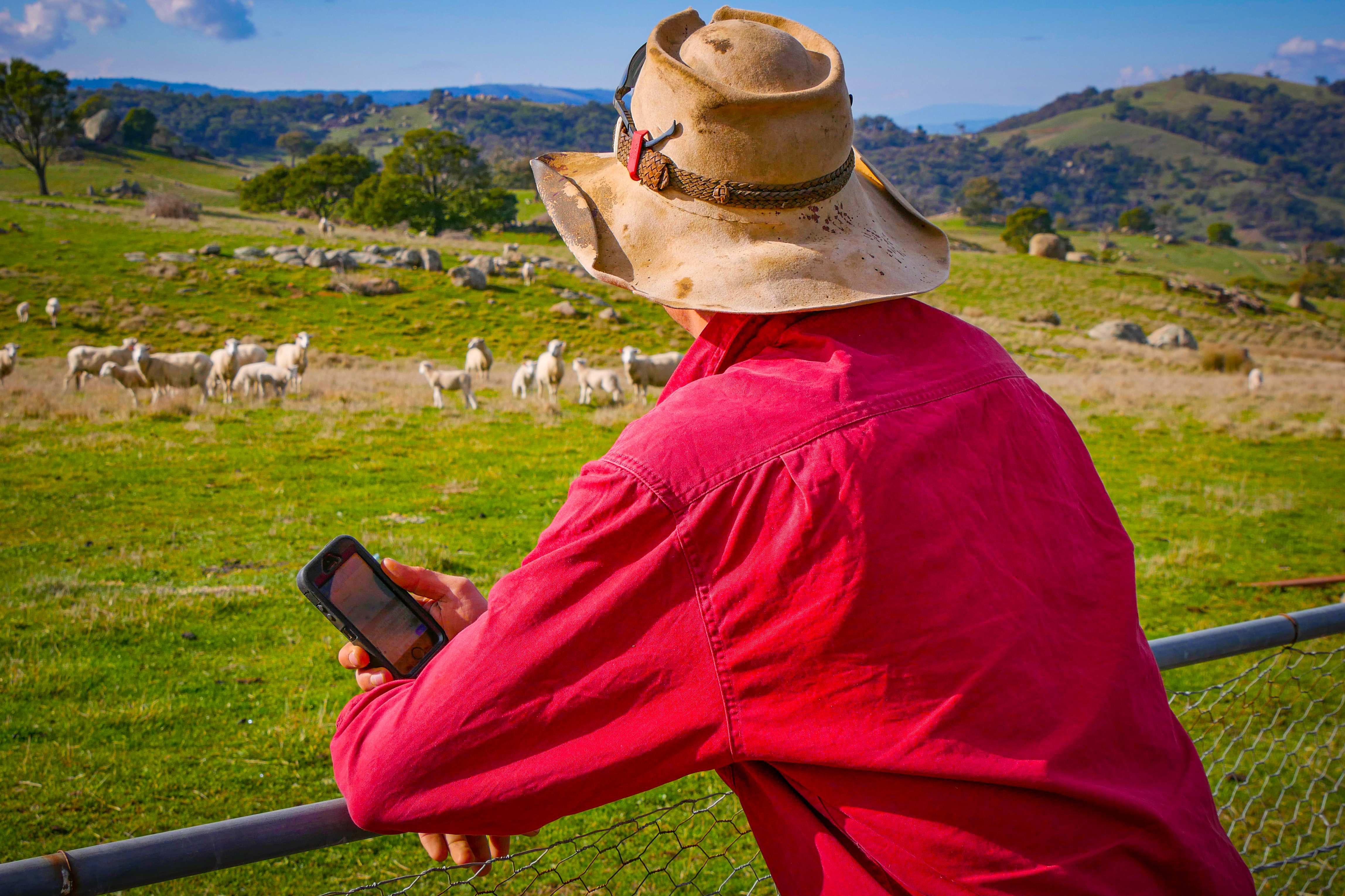Agworld and Mobble: a compelling call to action for mixed livestock and crop managers