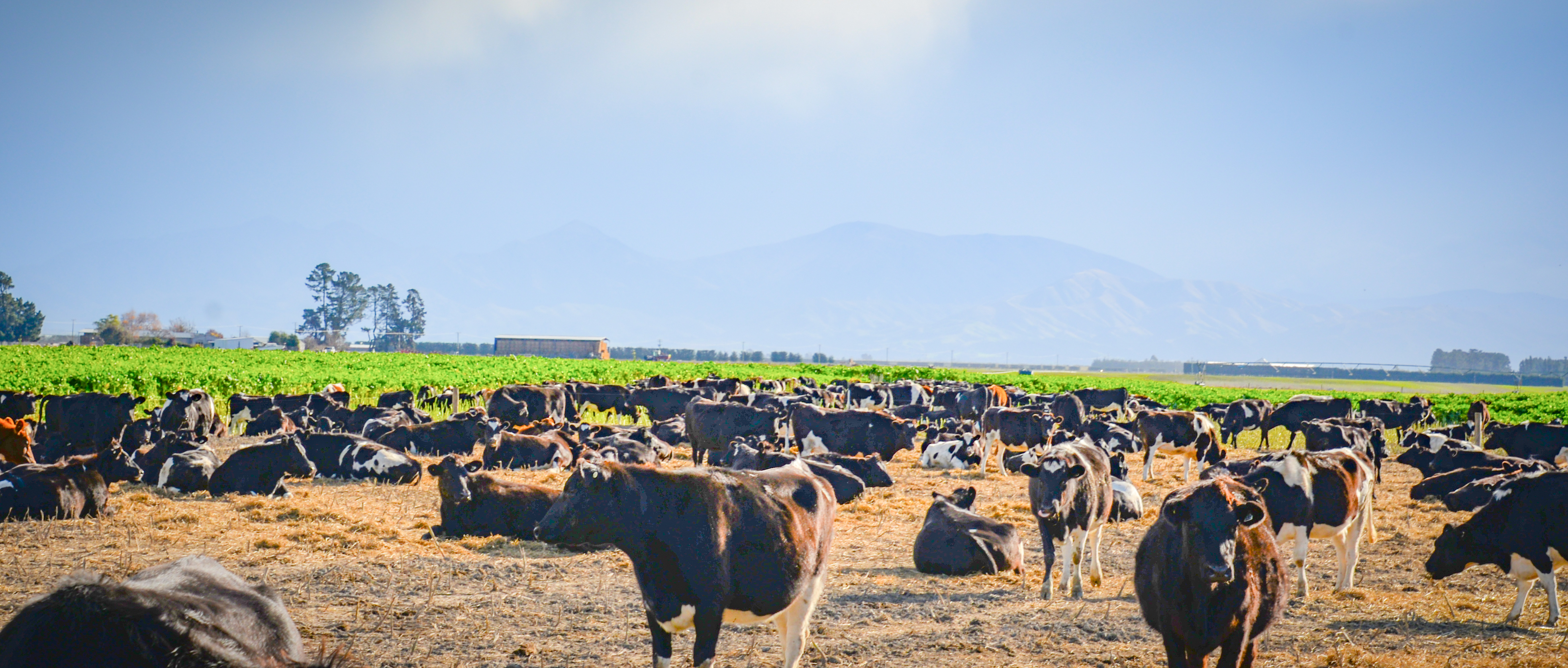 Agworld